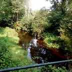 DSCN8483