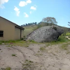 DSCN5387