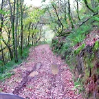 DSCN6269