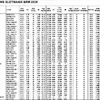 FULL VERIFICACIONS SLOTMANIA 24 3