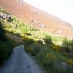 DSCN5148