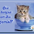 Buen dia, genial