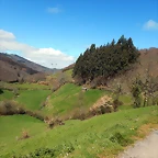 DSCN9104.JPEG