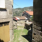 DSCN7823