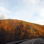 DSCN9854