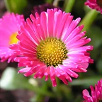 PICT0037