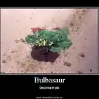 bulbasaur_epic_fail