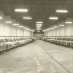 505355532_1039249744979191_1718895028318051192_n