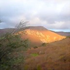 DSCN9188