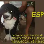 ESPI Valencia