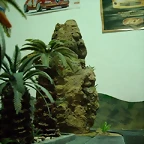 Guanchtinerfe (25)