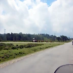 DSCN5912