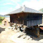 DSCN1513
