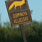 Argentina 2010 379