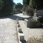 DSCN7777