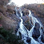 DSCN6680