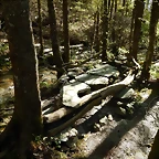 DSCN8992