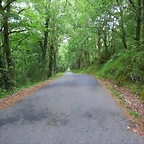 026-IMG_1581