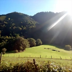 DSCN0630