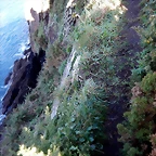DSCN3053