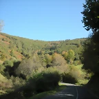DSCN0038