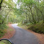 DSCN5825