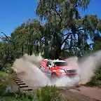 dakar 43