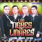 los tigres cumbia cumbia