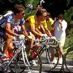 Perico-Tour1991-Lemond