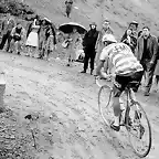 Gaul-Giro 60-Gavia