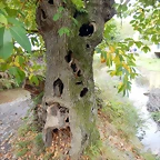 DSCN8324