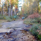 DSCN8961