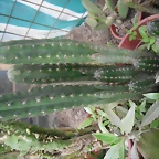 SAM_0878
