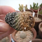 SAM_0860
