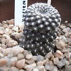 SAM_0858