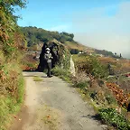 DSCN4464