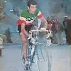 Gimondi-Campeon Italia