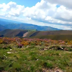 DSCN5003