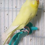 FB_IMG_1544185560648