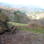 DSCN7852