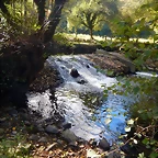 DSCN9138