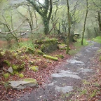 DSCN4195