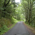 DSCN4728