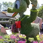 Epcot-International-Flower-and-Garden-Festival_Full_18227