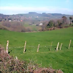 DSCN8133