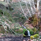 DSCN3006
