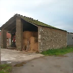 DSCN6034