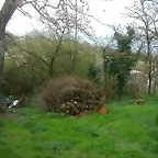 DSCN6036