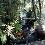 DSCN9724