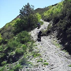 DSCF2523